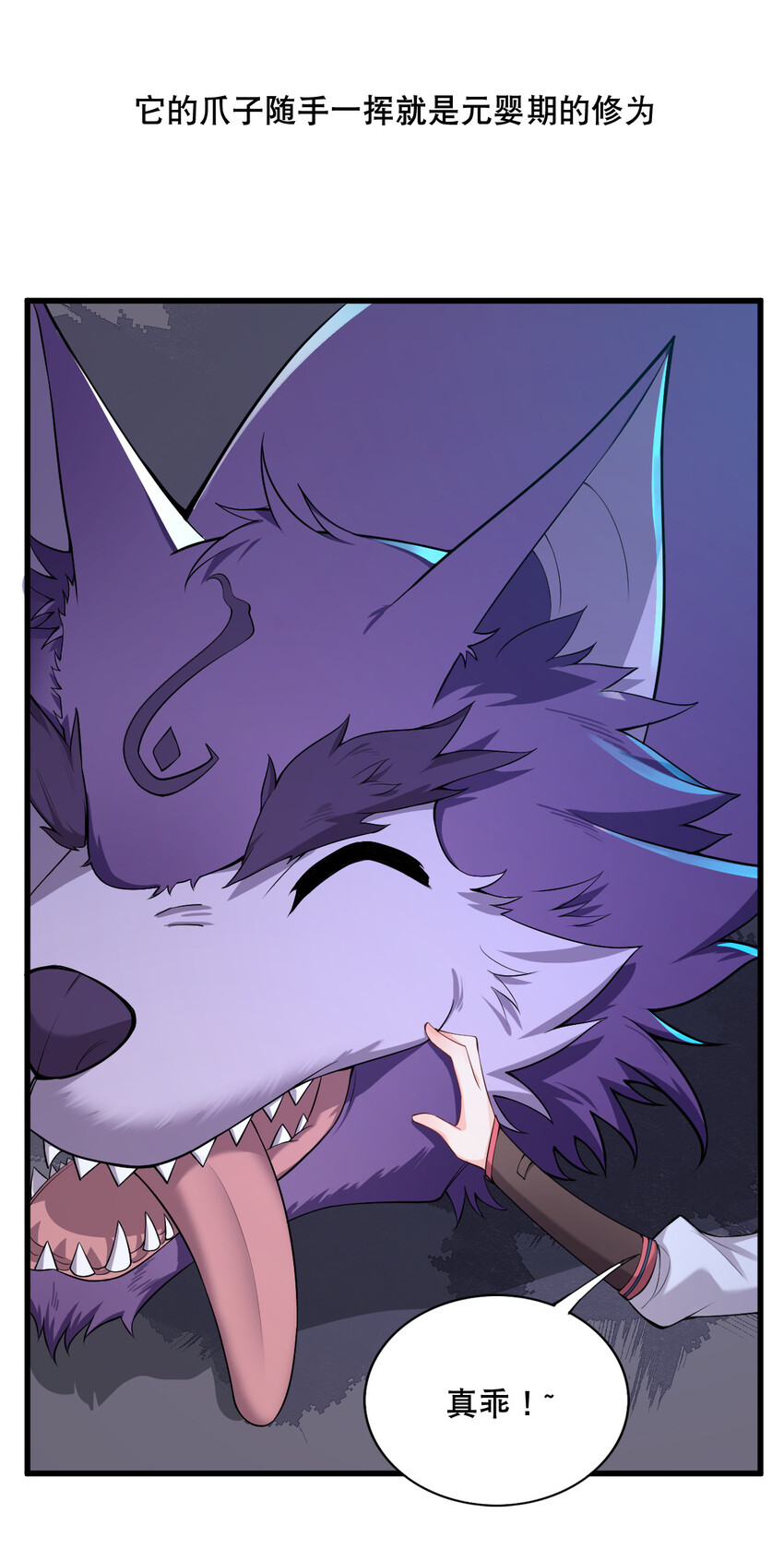 004 舔狗狼王60