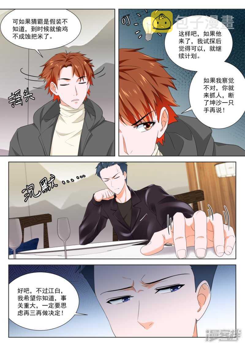 叶倾城的家庭7