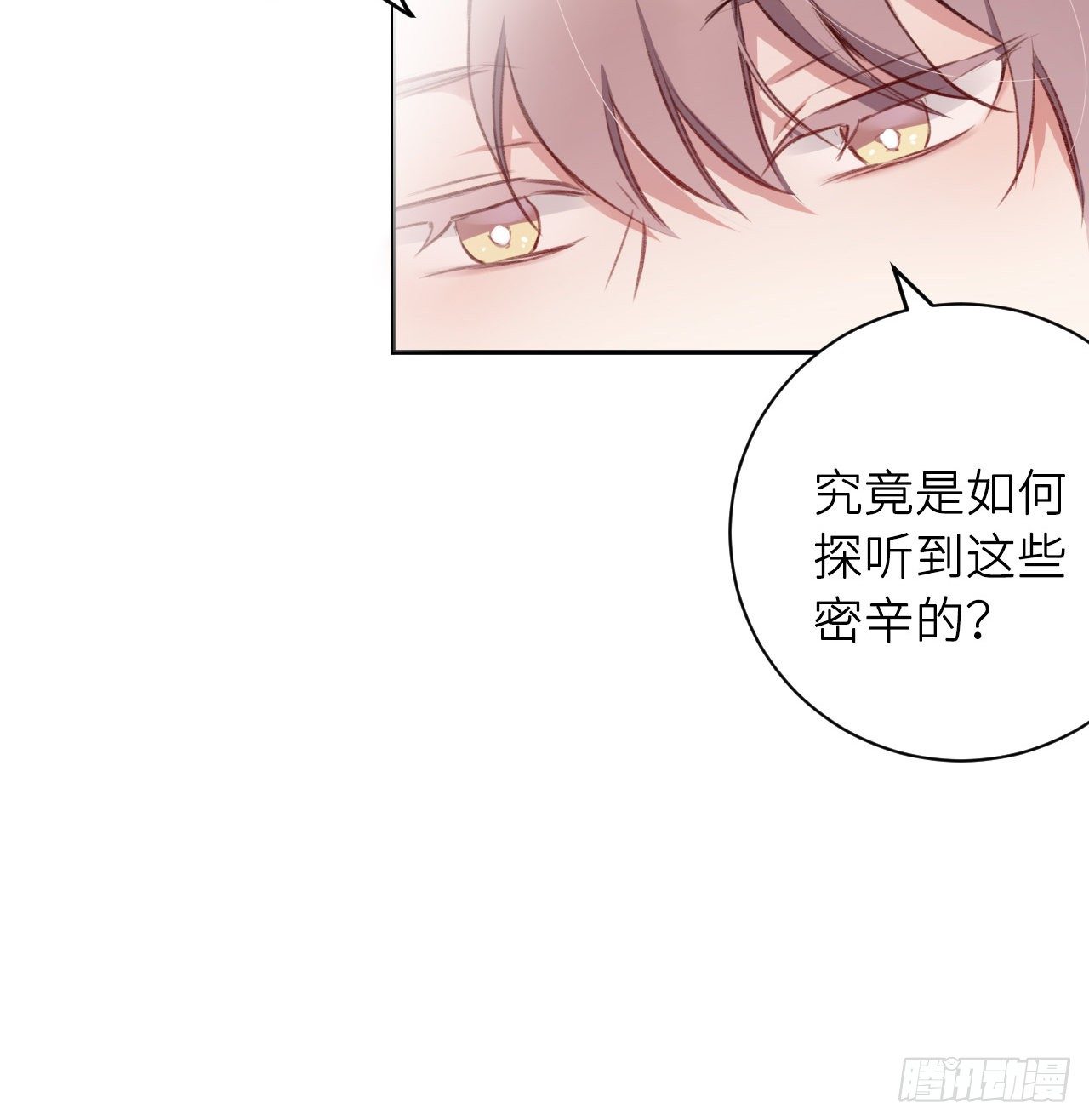 朕的兔子49