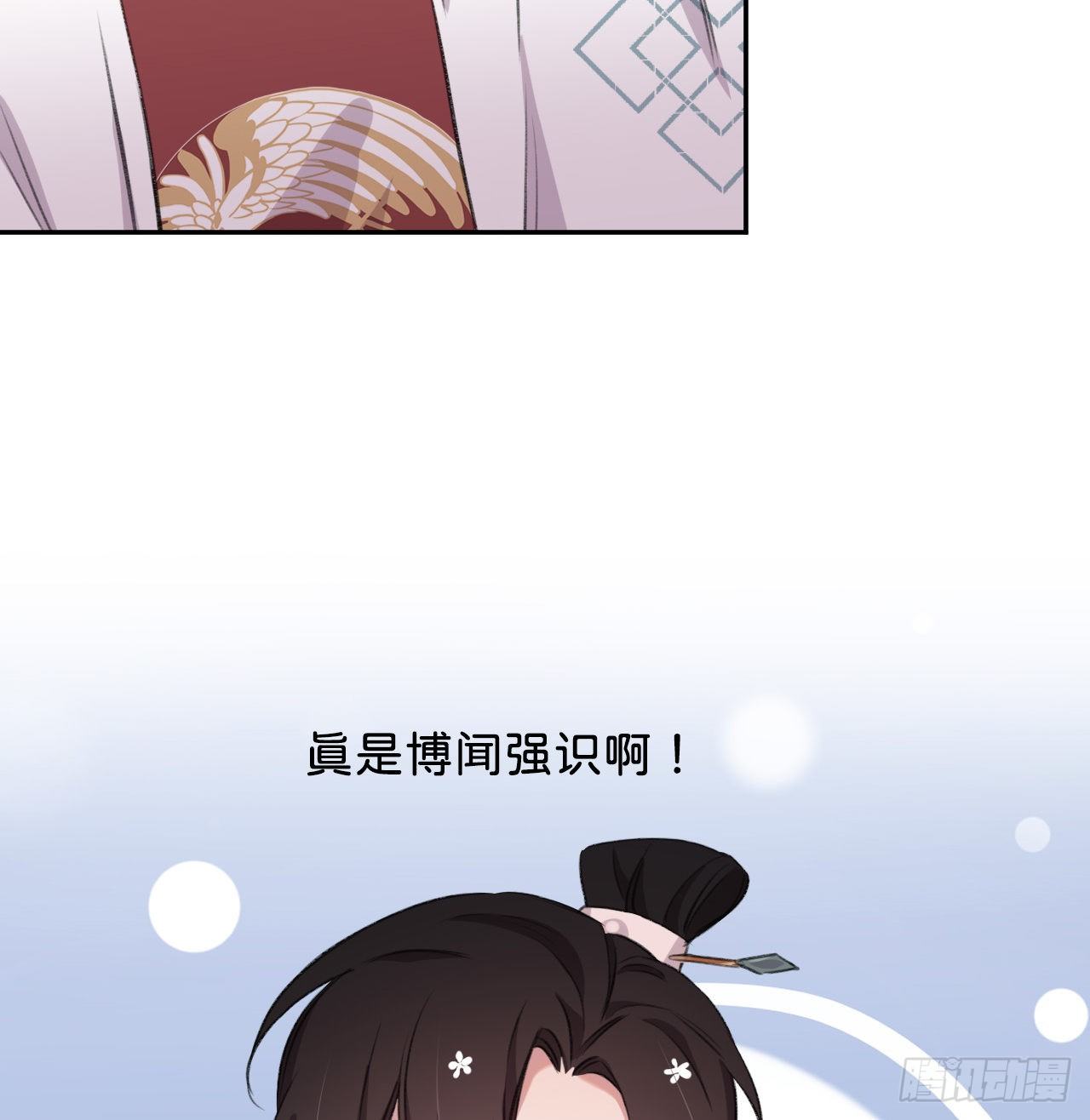 朕的兔子45