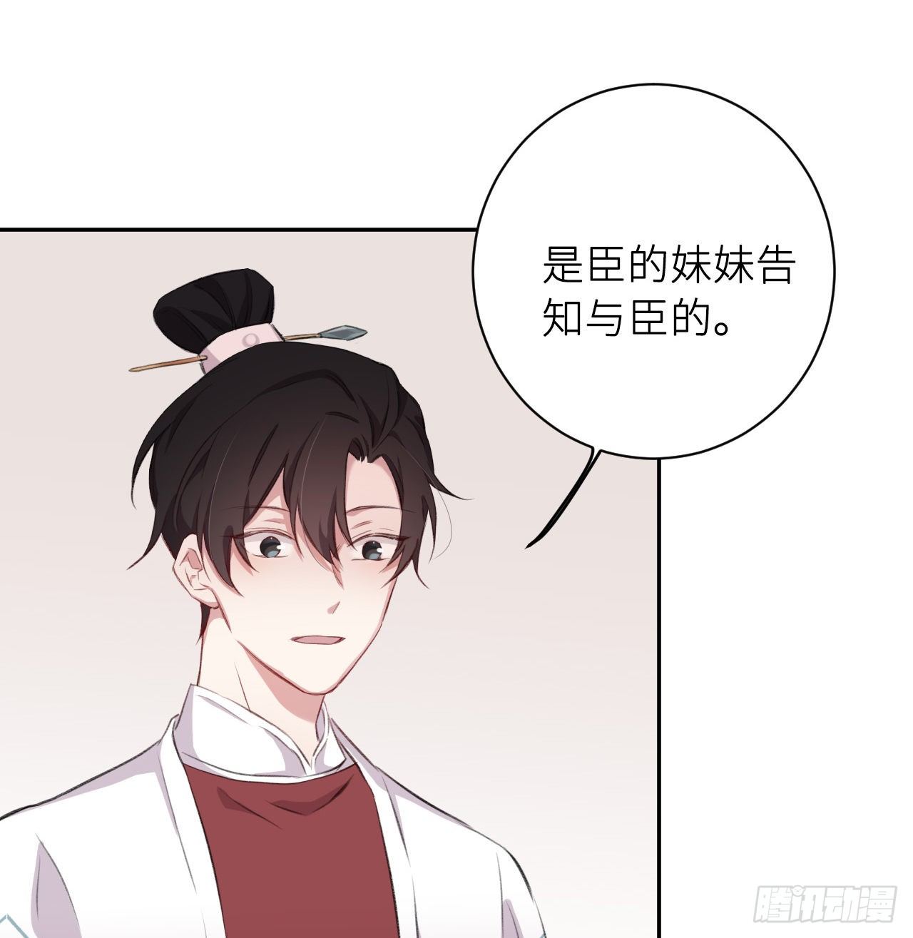 朕的兔子50