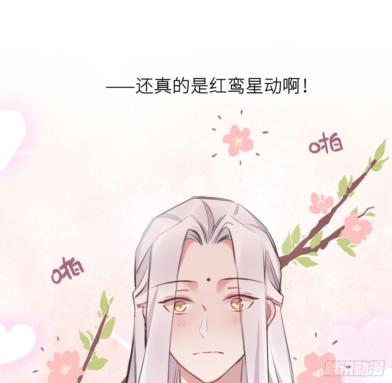 红鸾星动？15