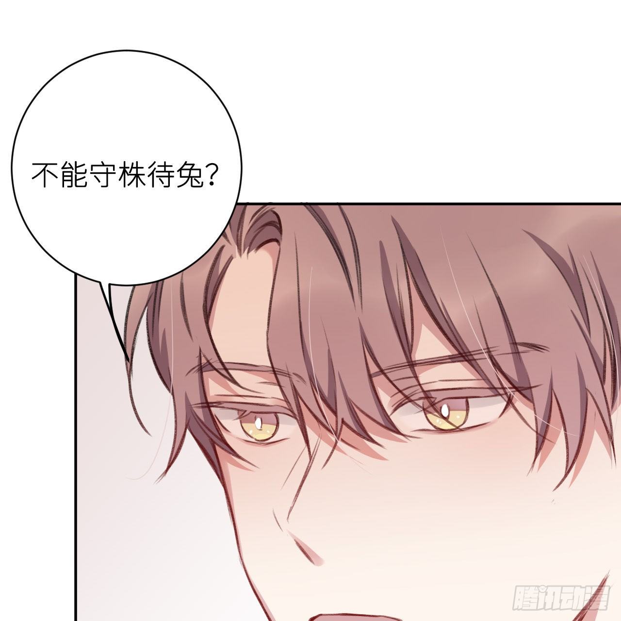 朕的兔子58