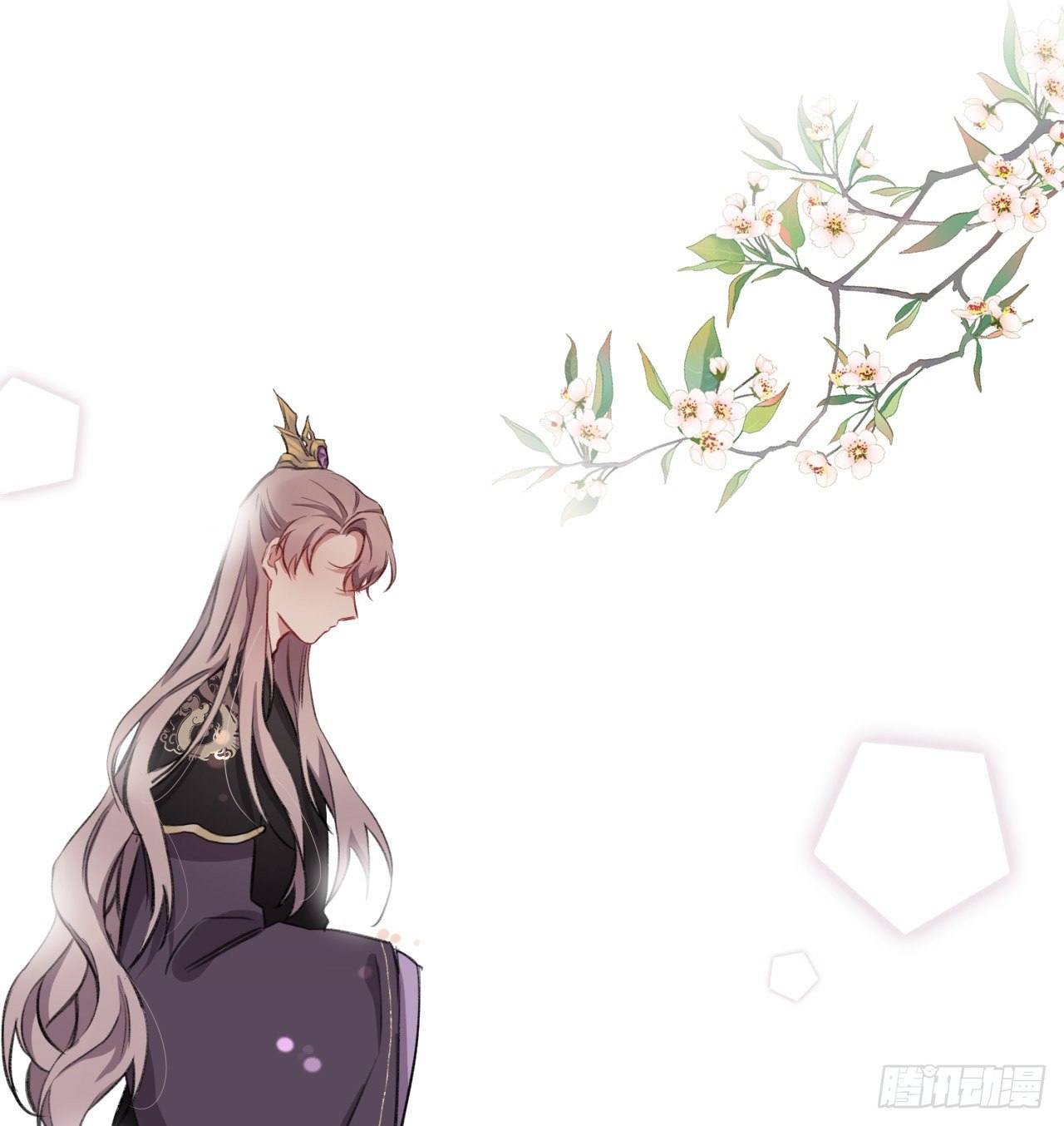 追随55