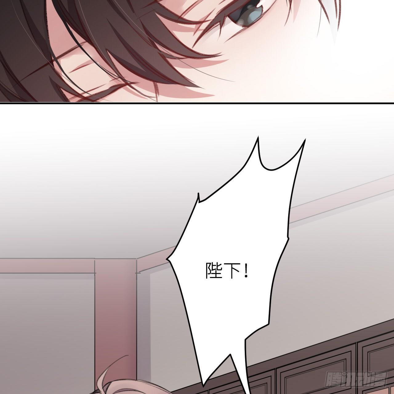 朕的兔子8