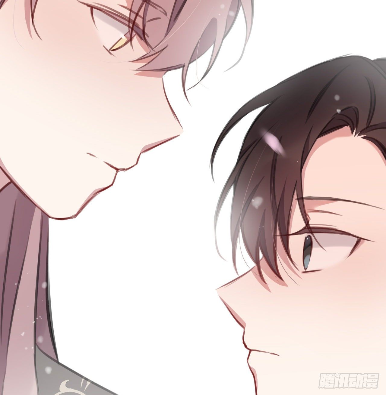 红鸾星动？66
