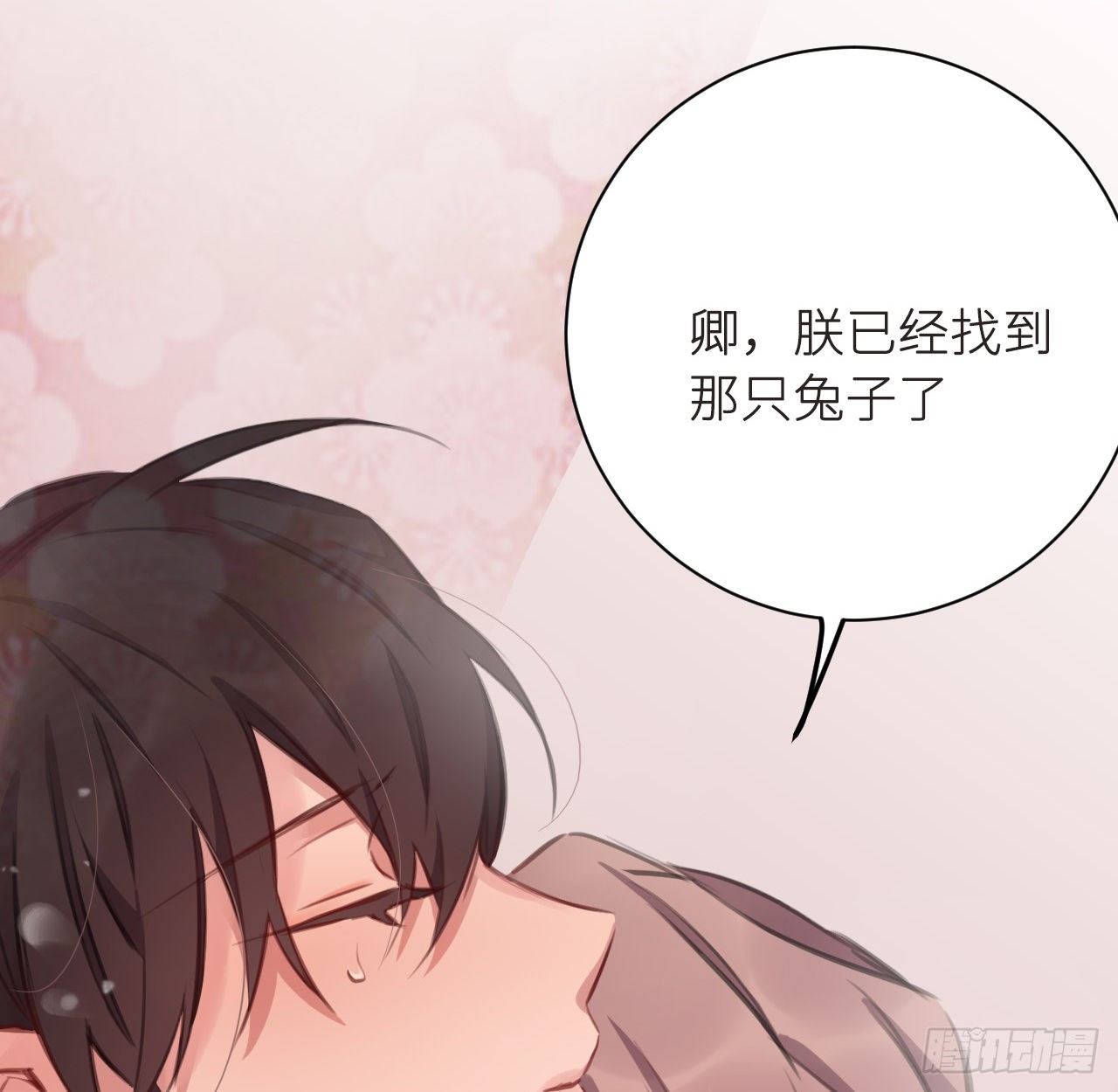 无需守株54