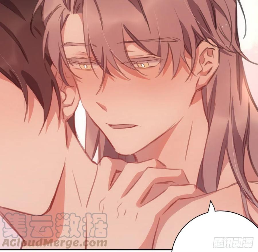 探花12