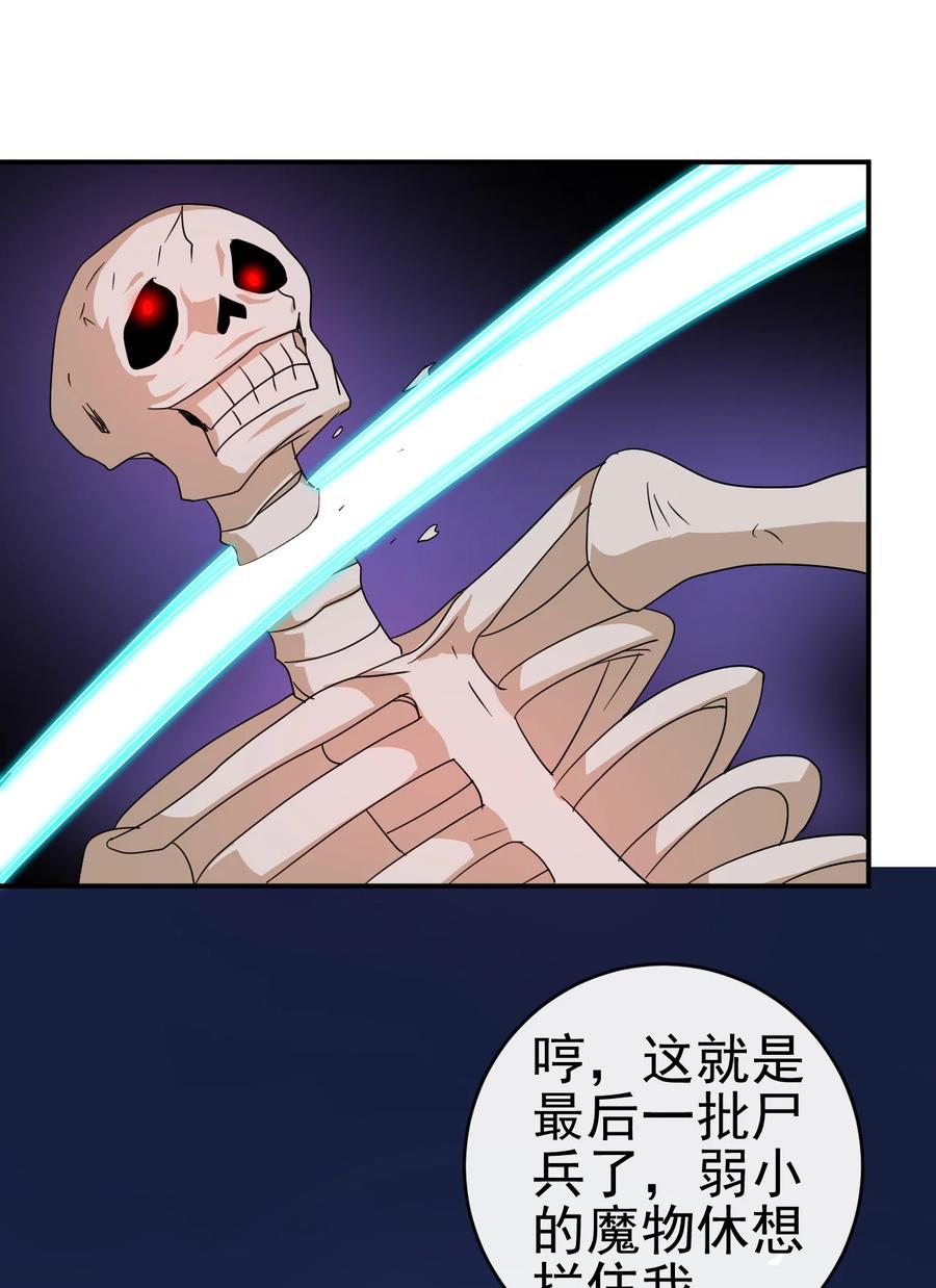 68 莲花，雪花29
