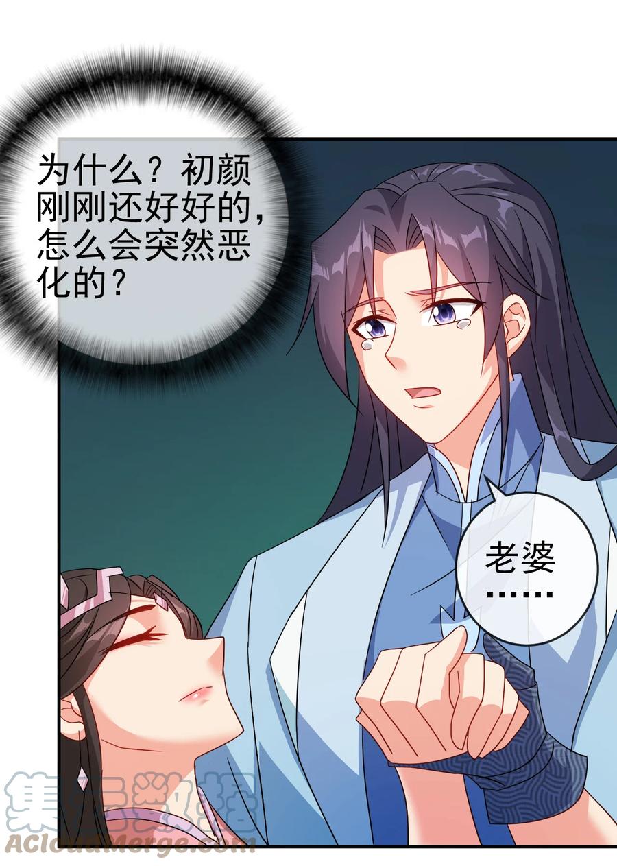 68 莲花，雪花20