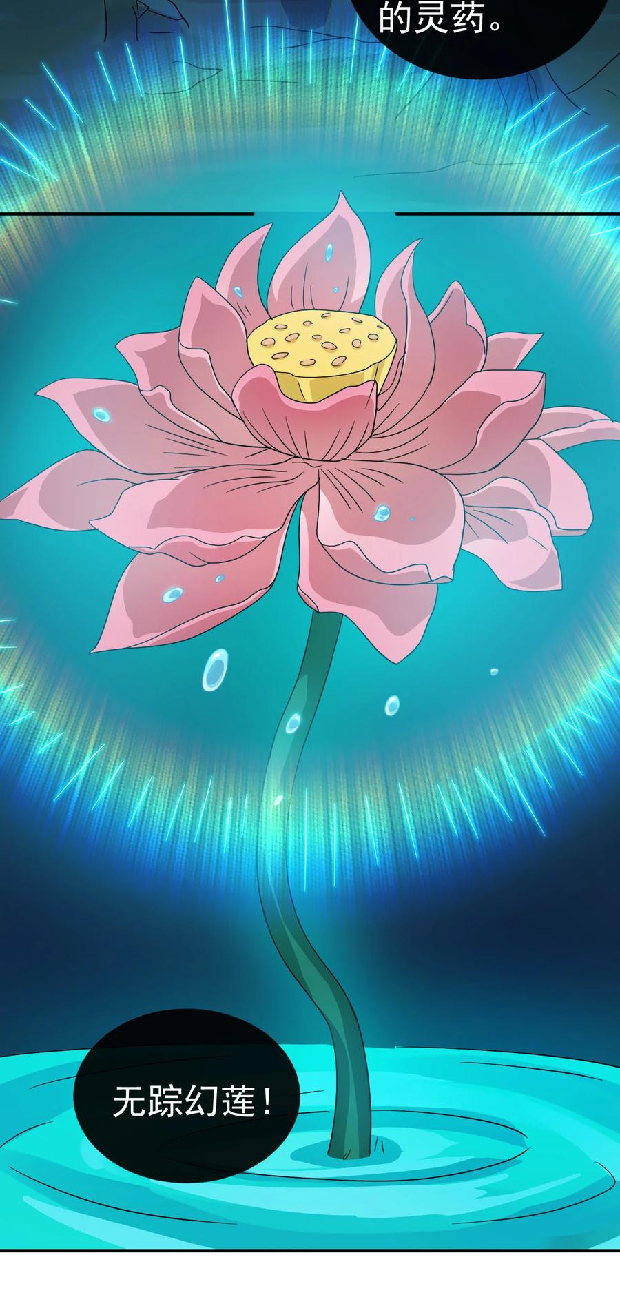 68 莲花，雪花27