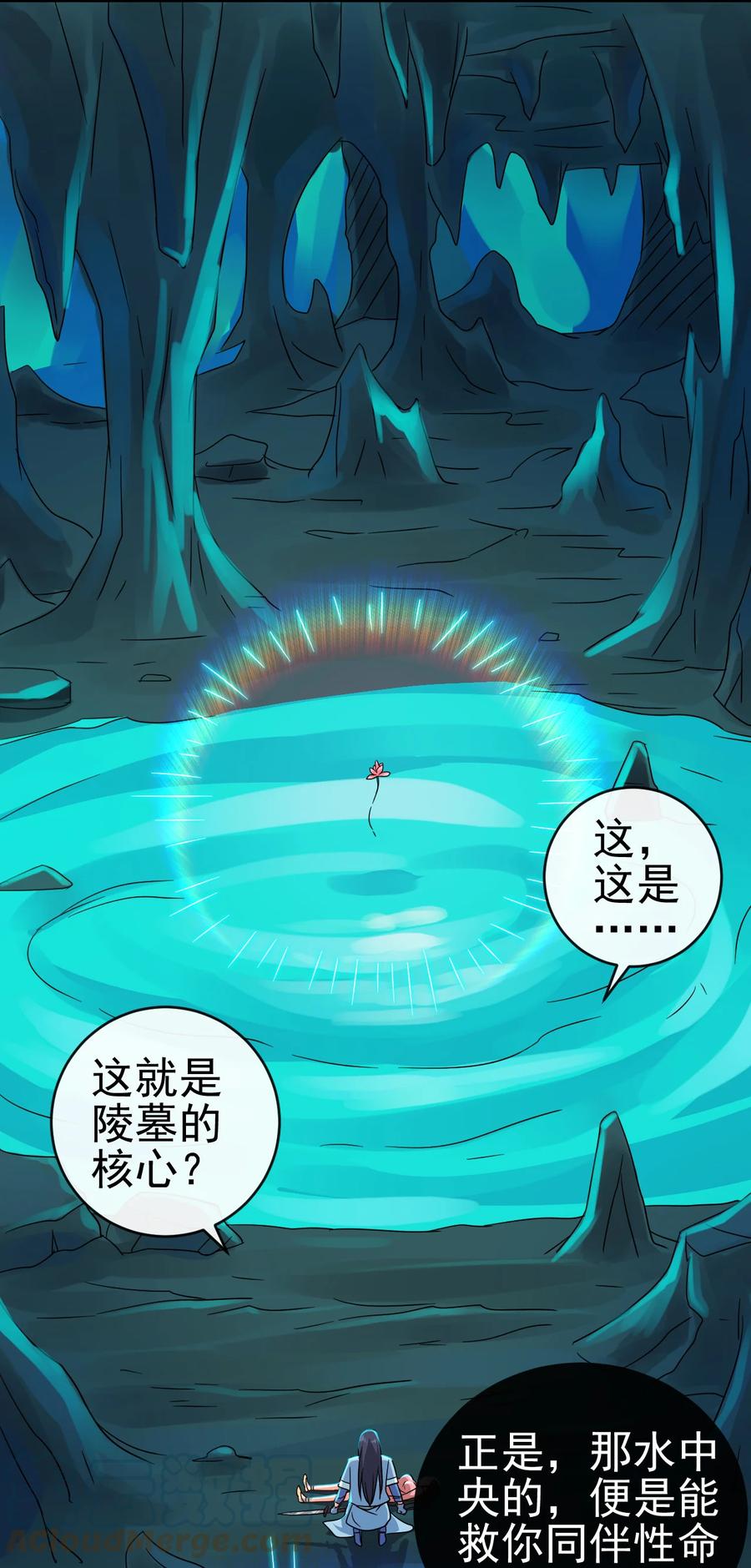 68 莲花，雪花26