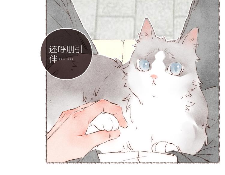 完结篇 黄玫瑰的花语16