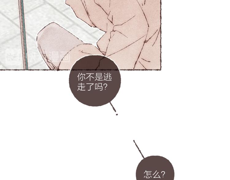 第19话 猫咪驾到35