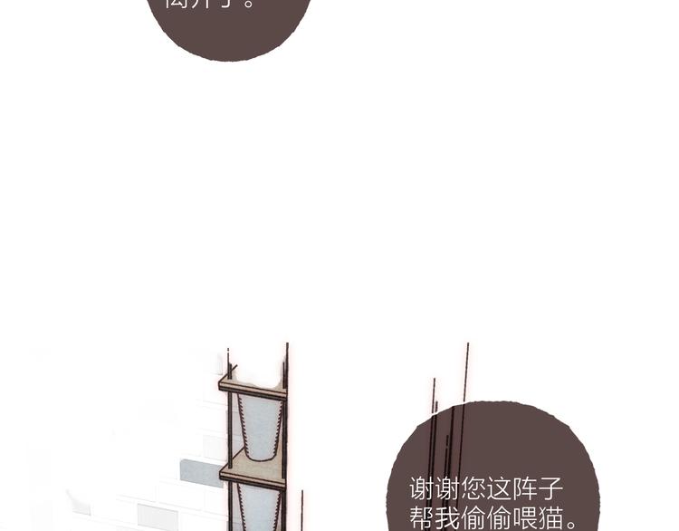 第19话 猫咪驾到75