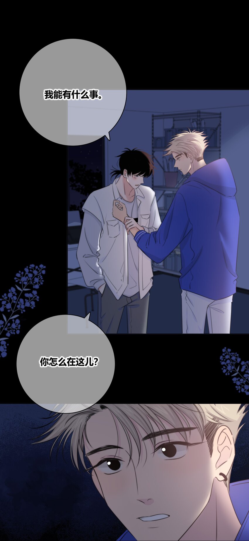025 笨蛋15