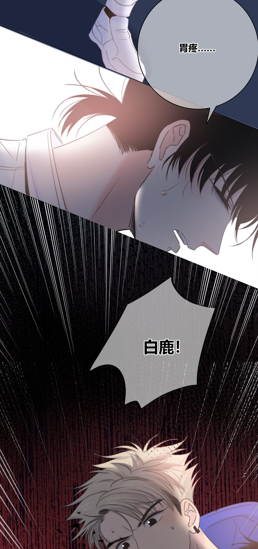 025 笨蛋25