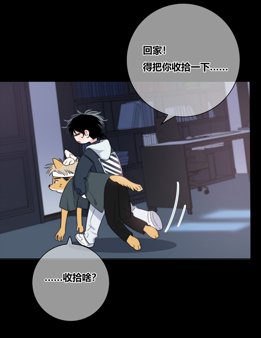 019 抉择22