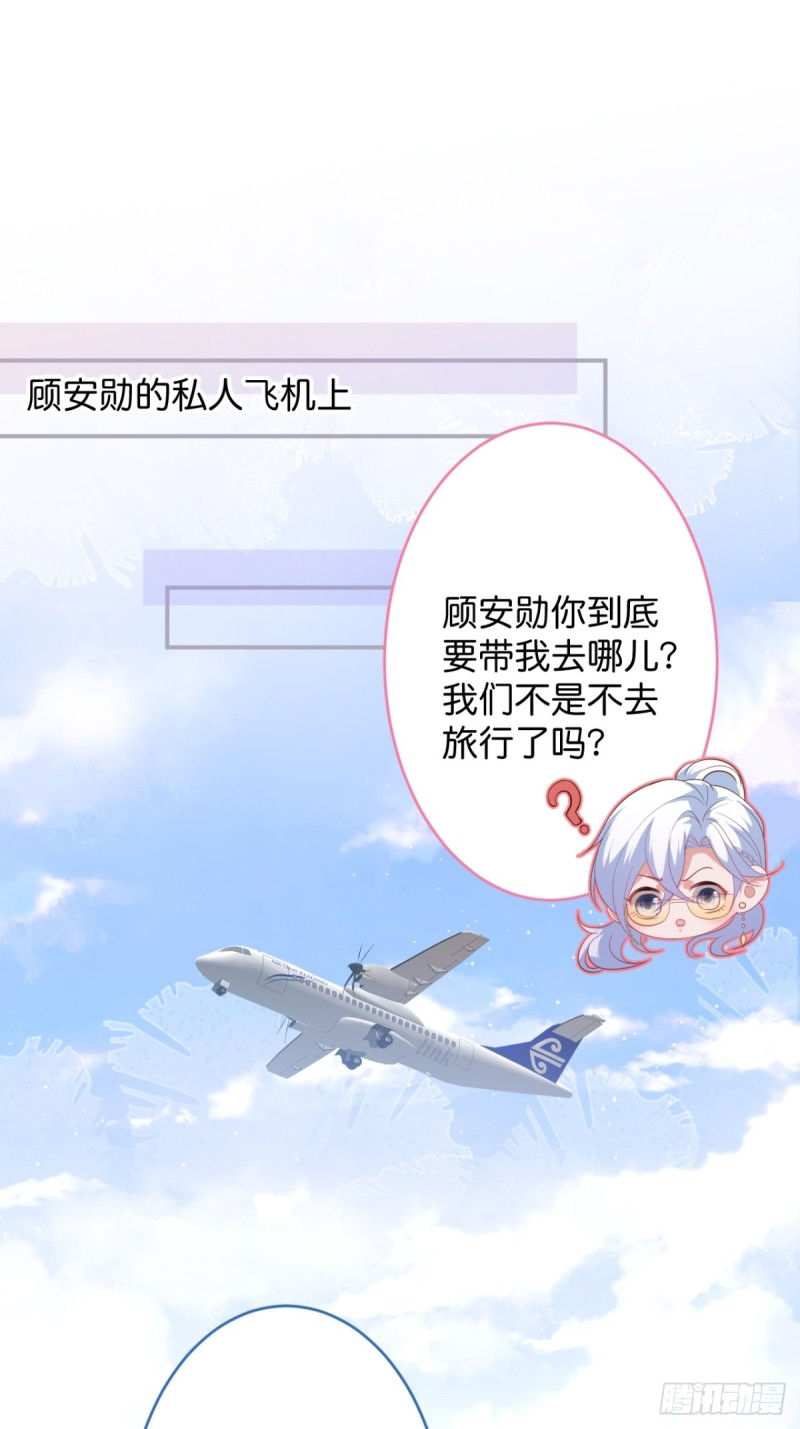顾狗和沈狗的小惊喜。30