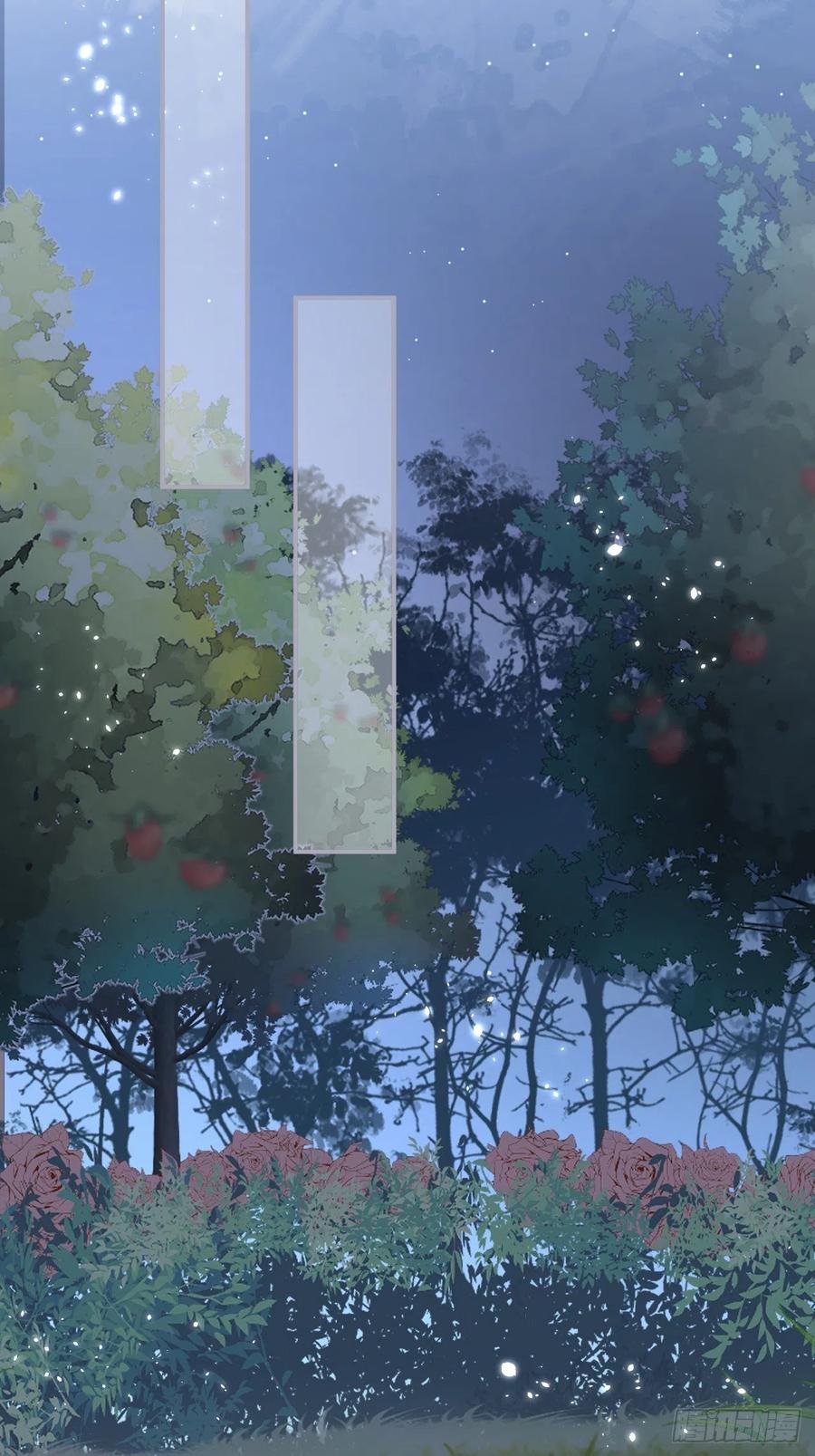 我的光。25