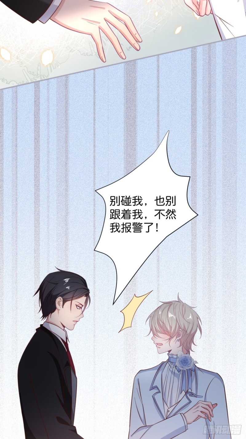 追妻联盟达成！6