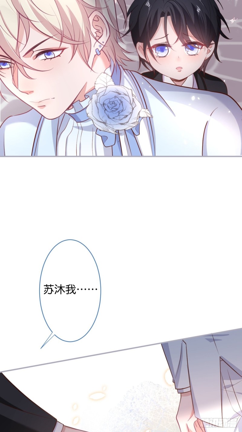 追妻联盟达成！5