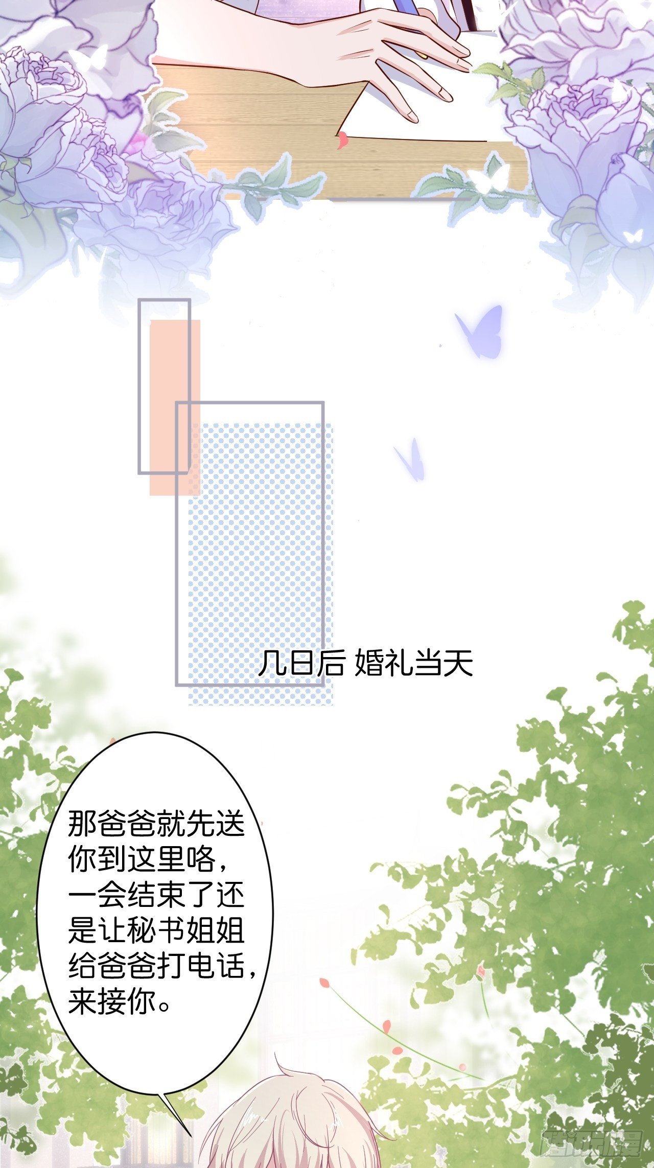 花花的爸爸送的花花40