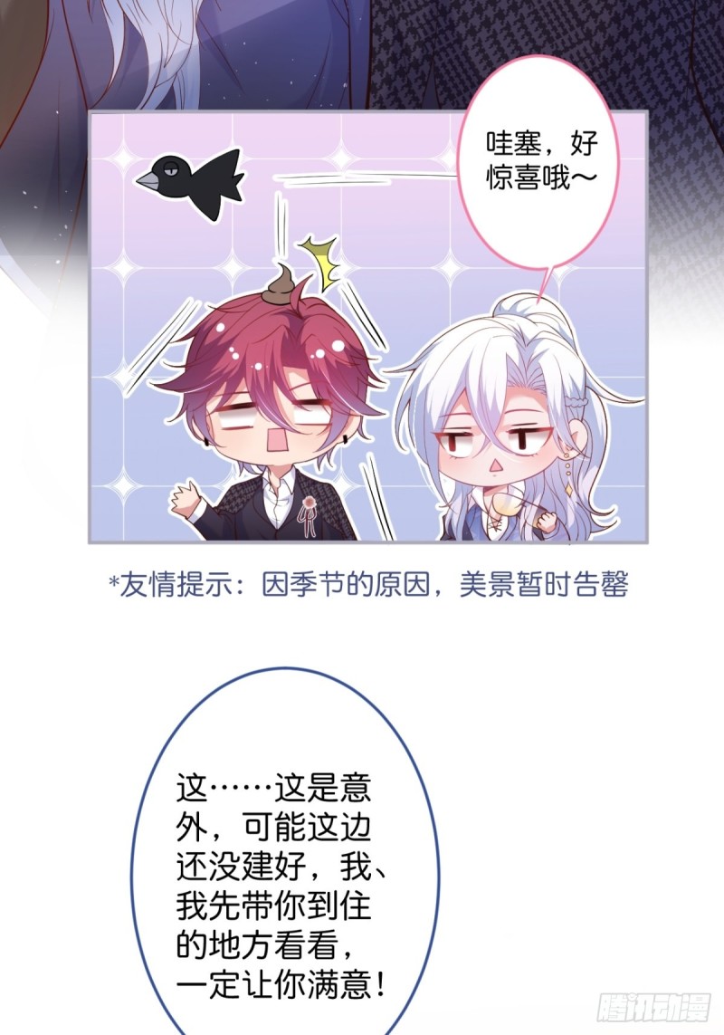 顾狗和沈狗的小惊喜。49