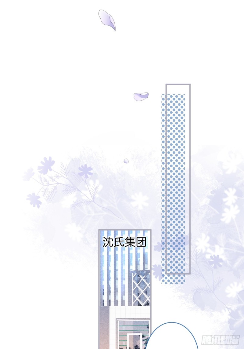 花花丢了，宁烨怒了！26