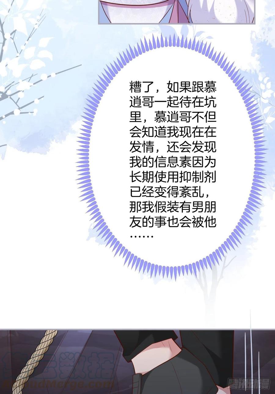 我的光。48