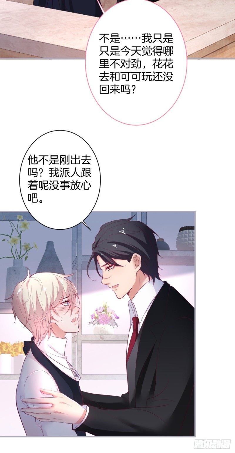 花花丢了，宁烨怒了！8
