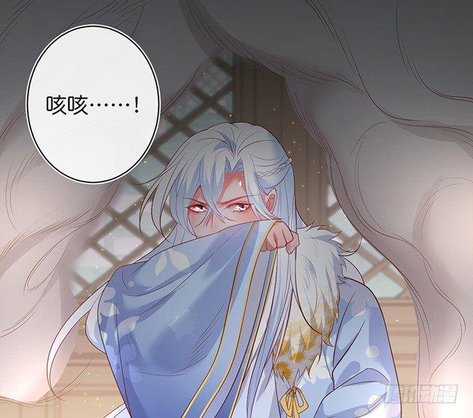 护你一世周全41