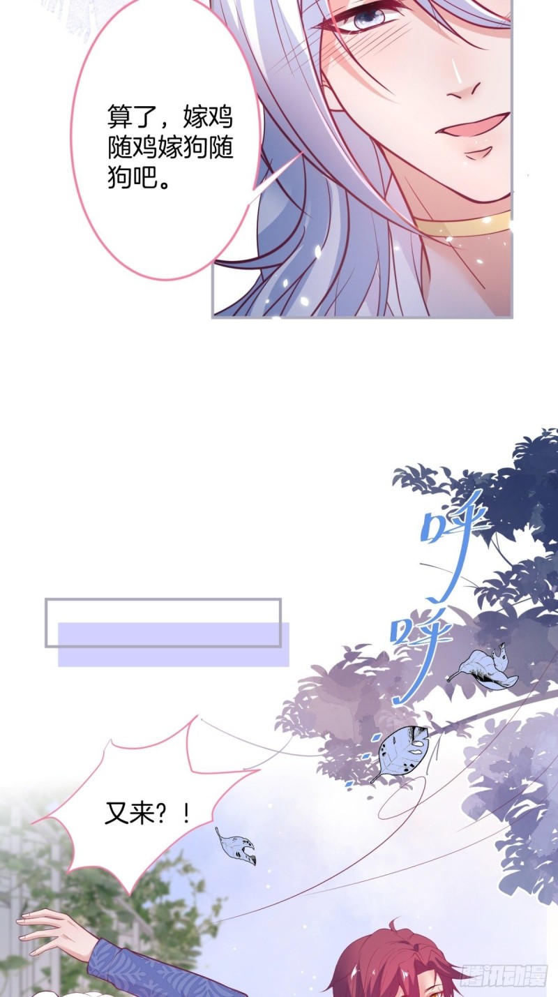 美人要不要骑“海豚”~30