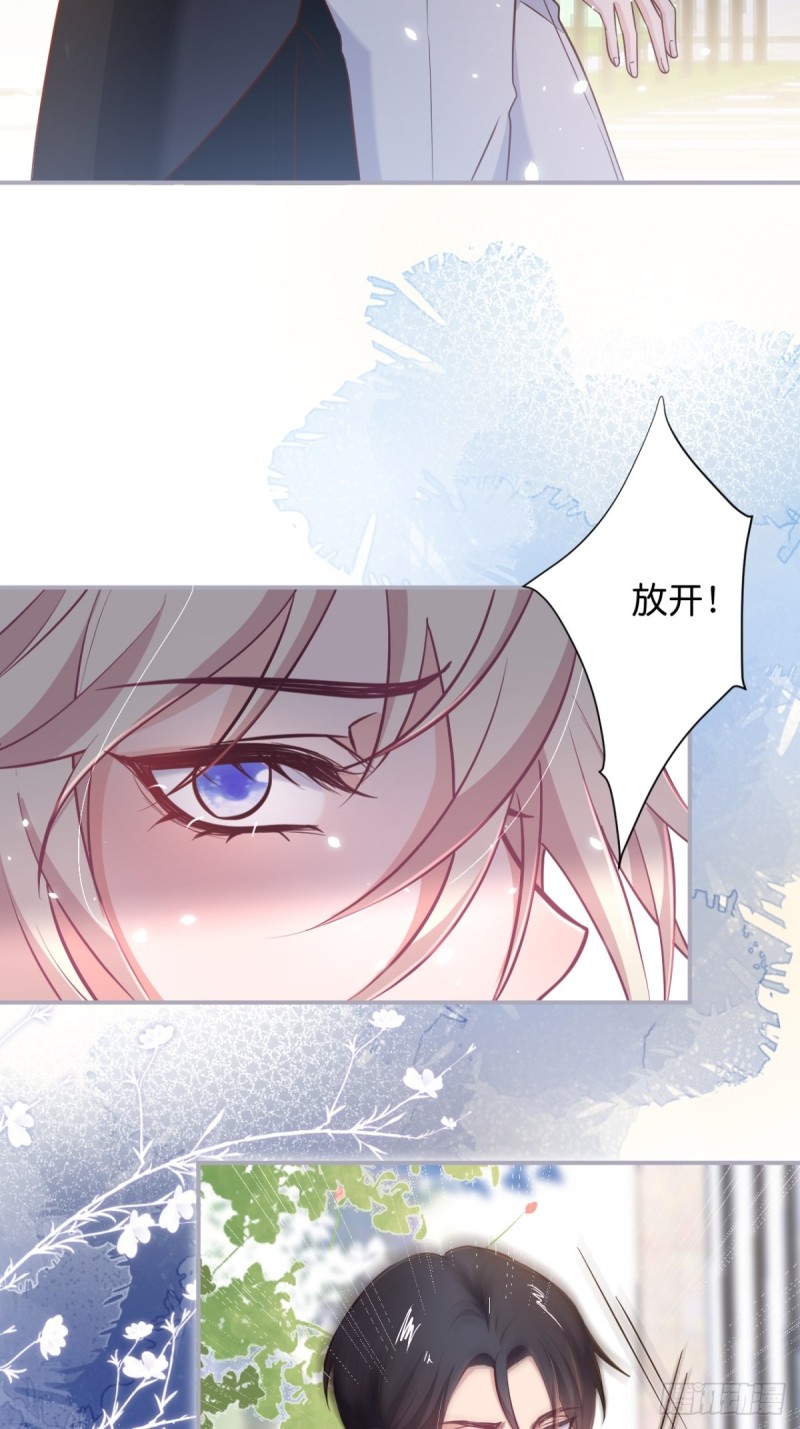 追妻联盟达成！3