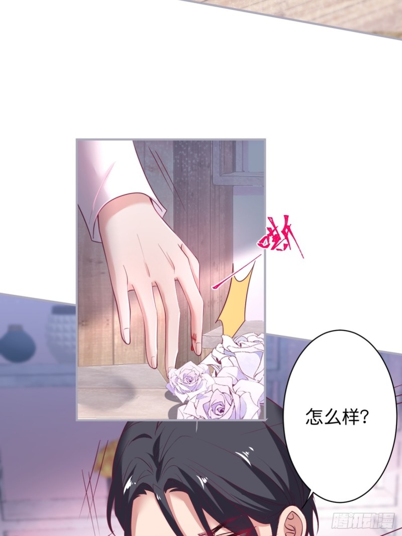 花花丢了，宁烨怒了！4
