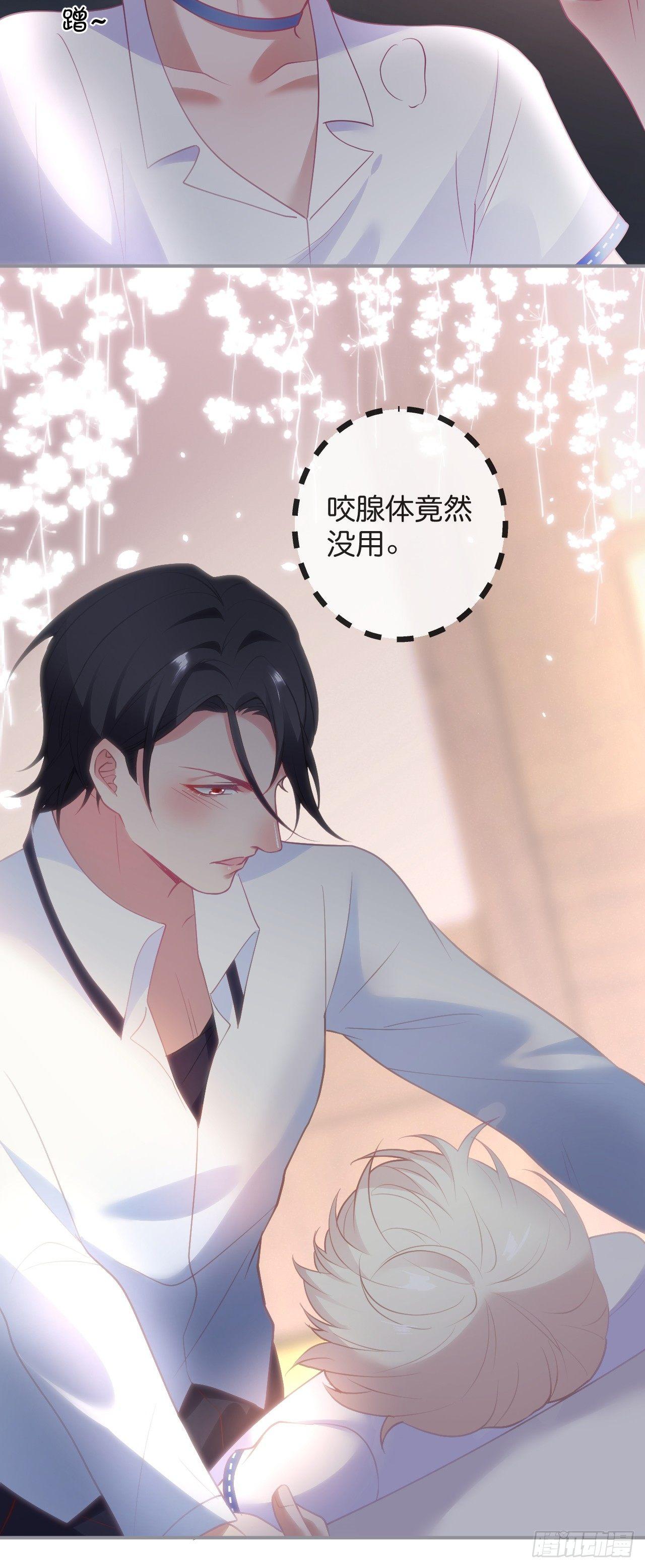 他的温柔16