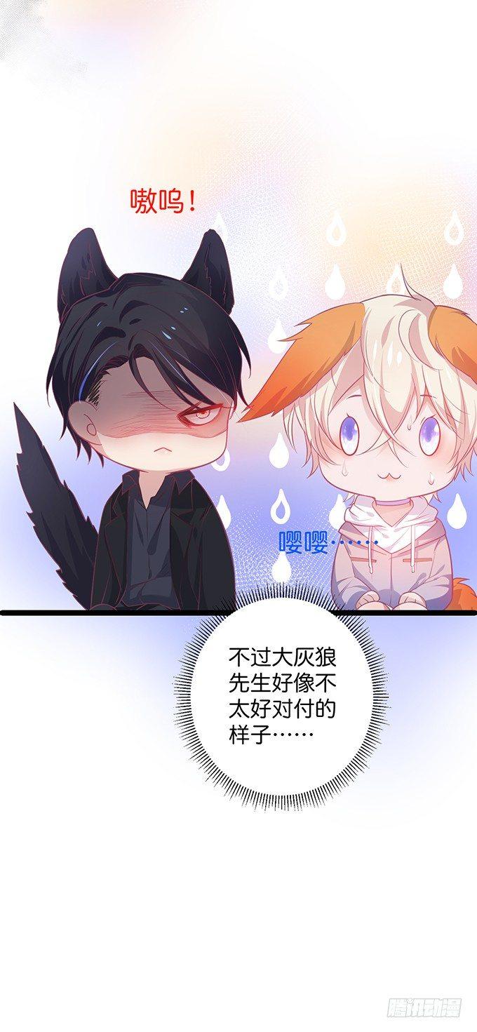 小白兔和大灰狼。68