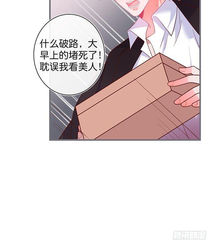护你一世周全29