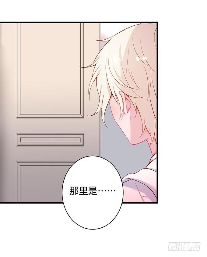 黏人精与高冷派5