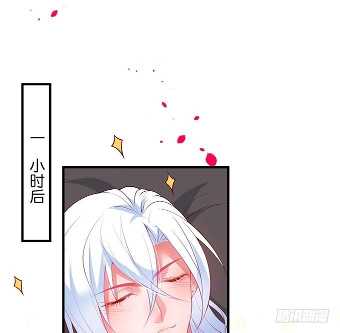 美人的诱惑~67
