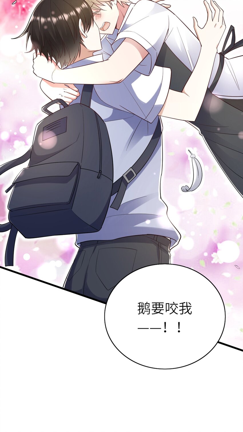 062 综艺体质37