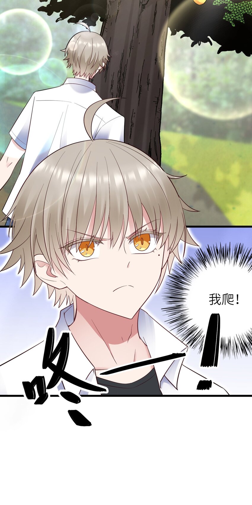 062 综艺体质13