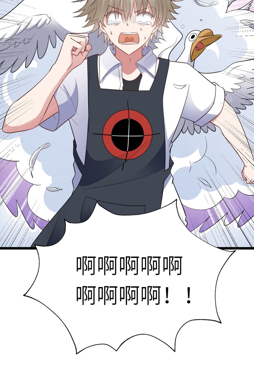 062 综艺体质35