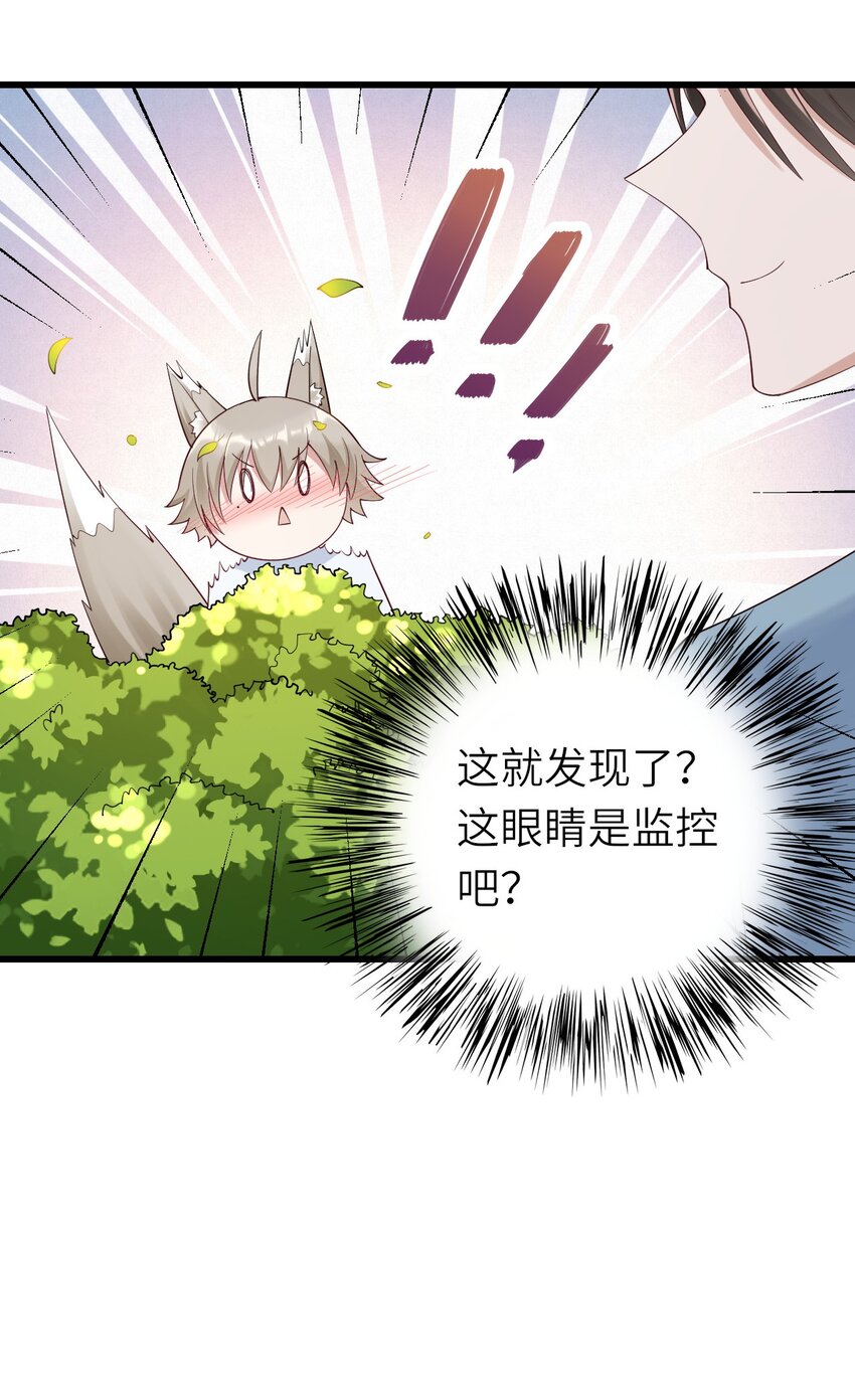 069没有可能39