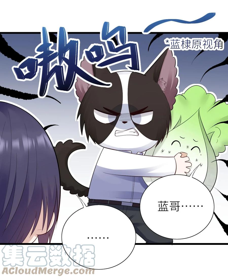 049 承担后果6