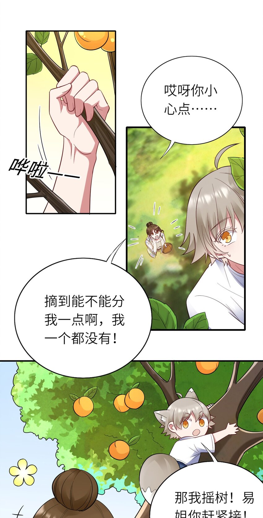 062 综艺体质14