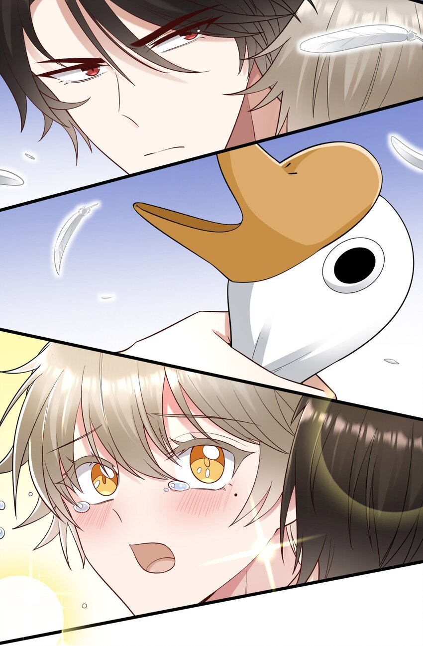 062 综艺体质40