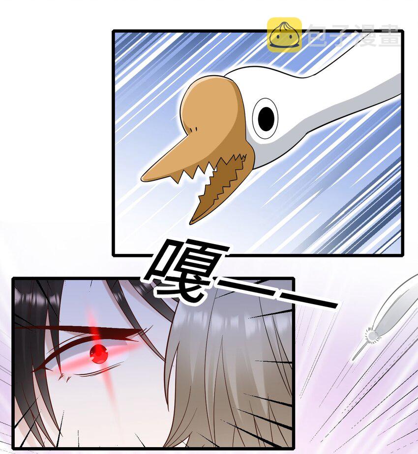 062 综艺体质38
