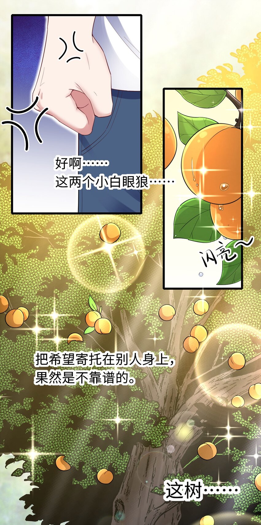 062 综艺体质12