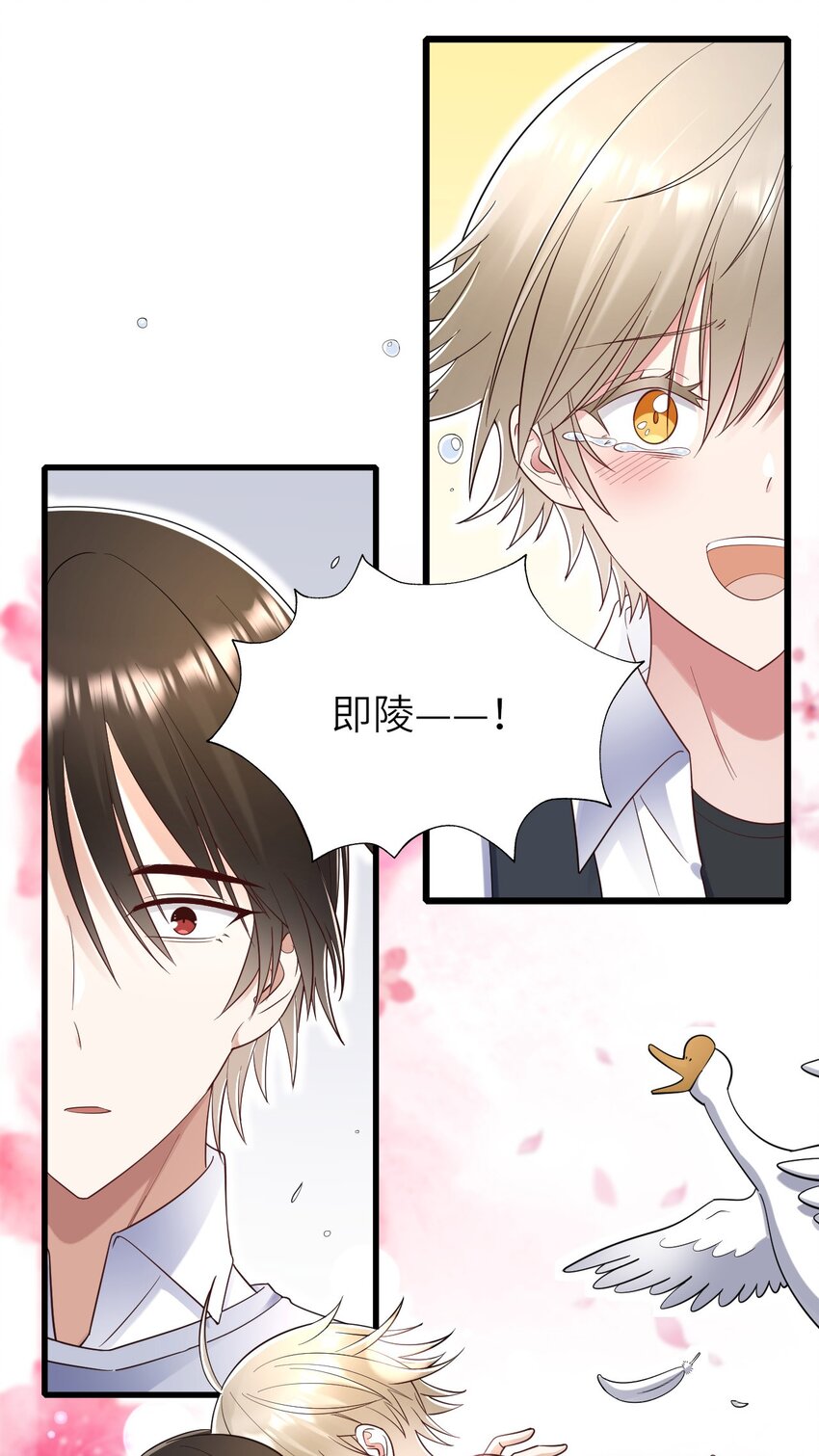062 综艺体质36